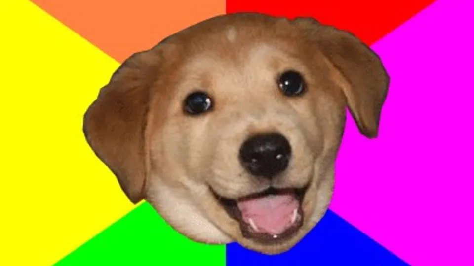 Advice Dog