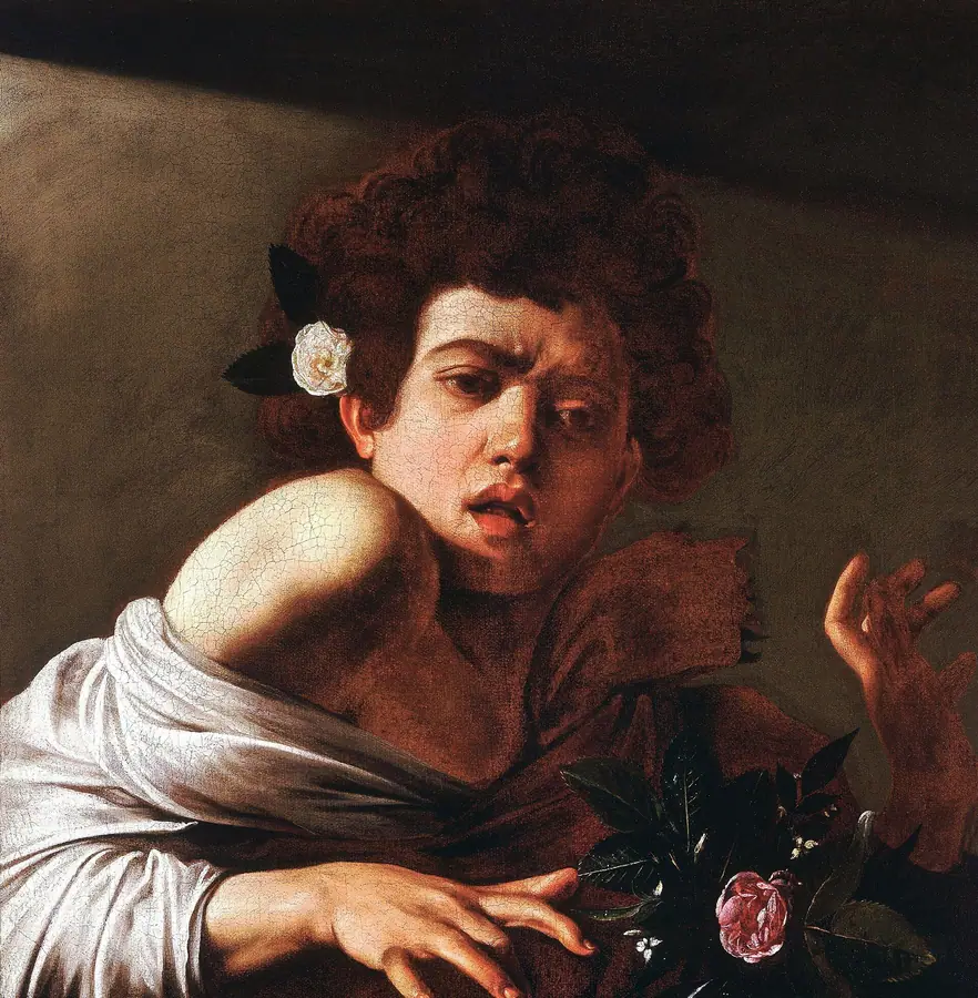 Boy Bitten by a Lizard