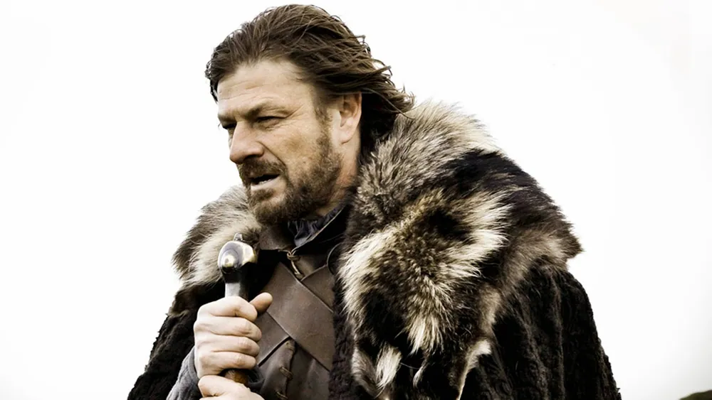 Brace Yourselves (Winter Is Coming)