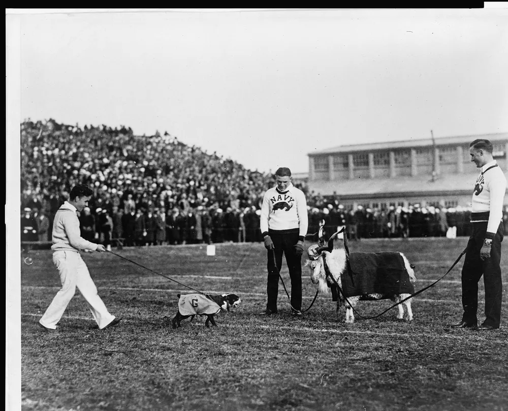 Bulldog vs Goat Mascots