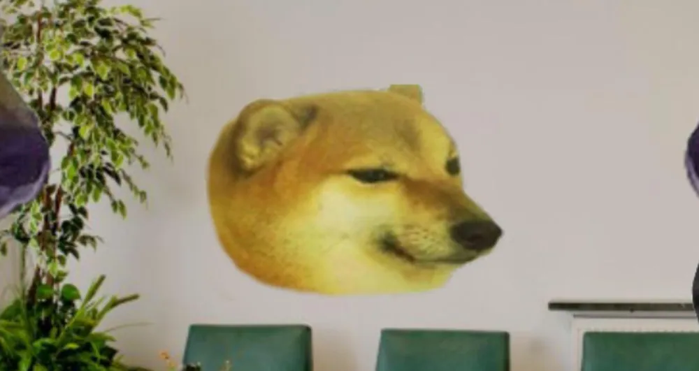 Cheems