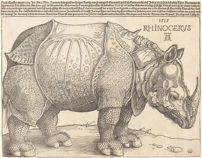 Dürer's Armored Rhino