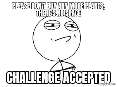 Challenge Accepted meme example: Please don't buy any more plants, there's no space / Challenge accepted