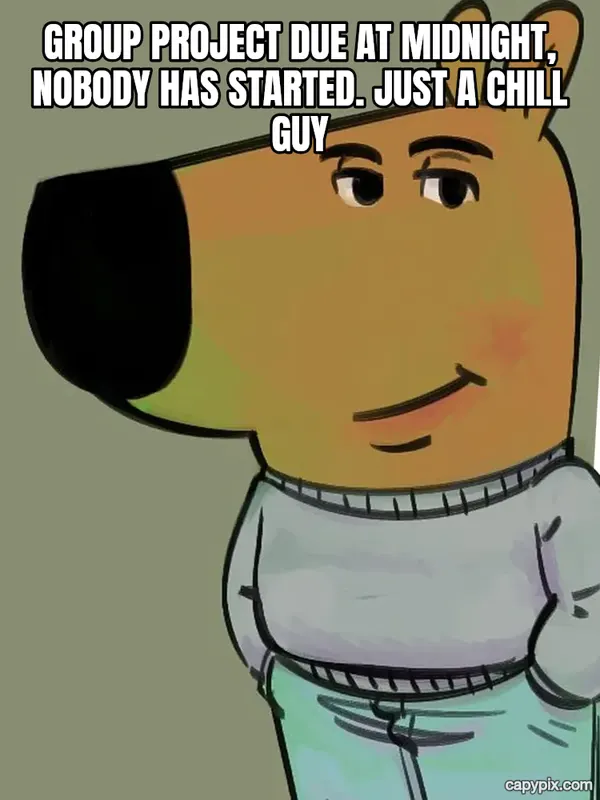 Chill Guy meme example: Group project due at midnight, nobody has started. Just a chill guy