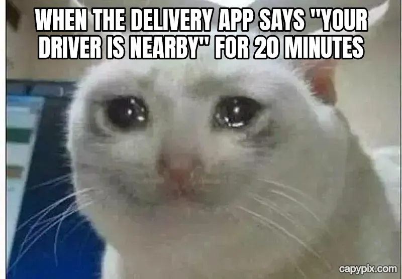 Crying Cat meme example: When the delivery app says "your driver is nearby" for 20 minutes