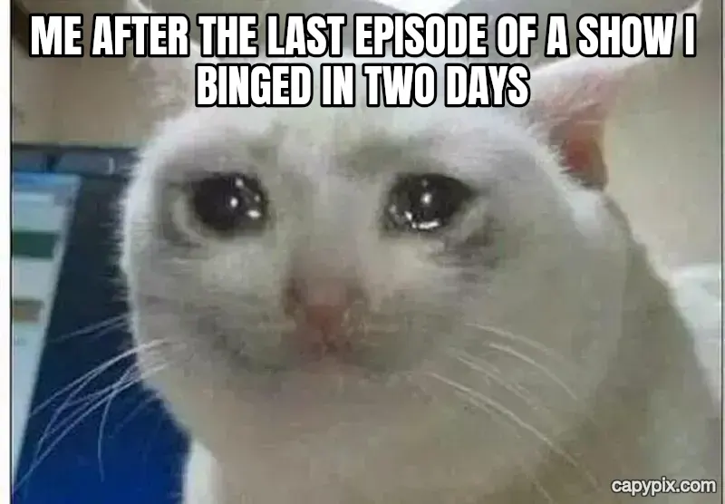 Crying Cat meme example: Me after the last episode of a show I binged in two days