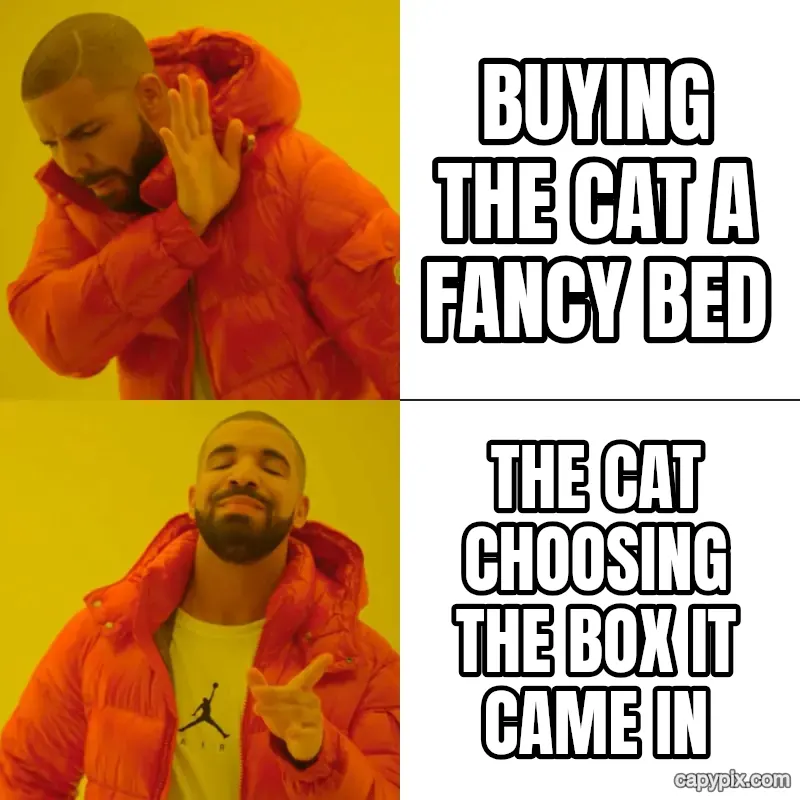 Drake Hotline Bling meme example: Buying the cat a fancy bed / The cat choosing the box it came in
