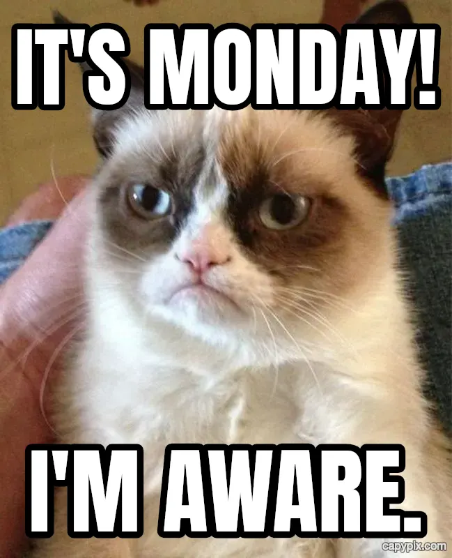 Grumpy Cat meme example: It's Monday! / I'm aware.