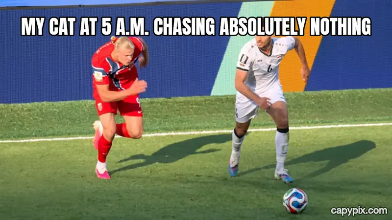 Haaland Running meme example: My cat at 5 a.m. chasing absolutely nothing