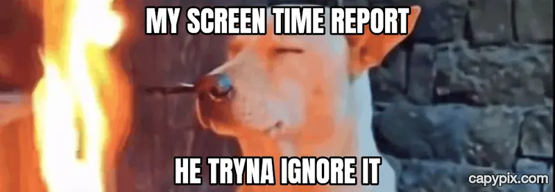 He Tryna Ignore It meme example: My screen time report / he tryna ignore it