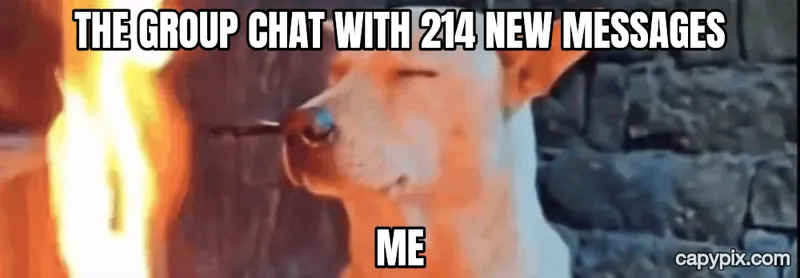 He Tryna Ignore It meme example: The group chat with 214 new messages / Me