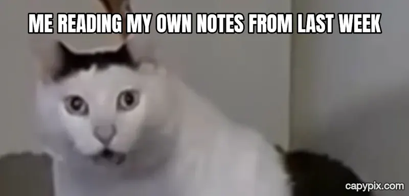 Huh Cat meme example: Me reading my own notes from last week