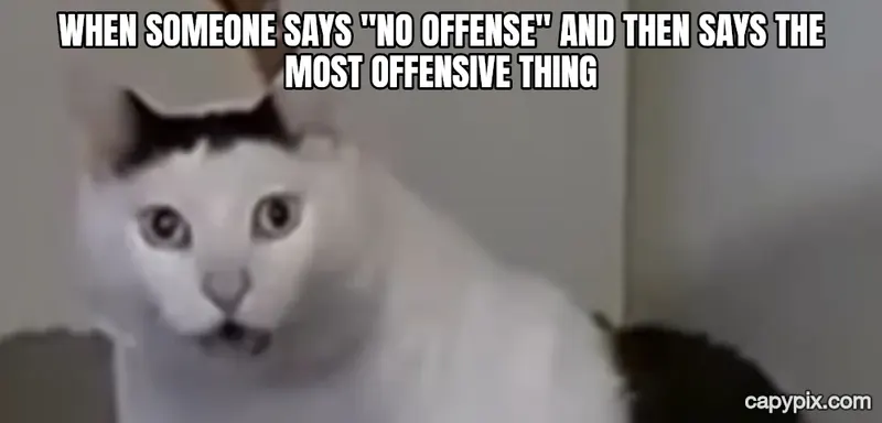 Huh Cat meme example: When someone says "no offense" and then says the most offensive thing