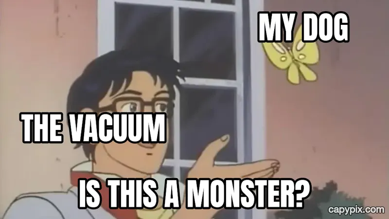 Is This a Pigeon? meme example: My dog / The vacuum / Is this a monster?