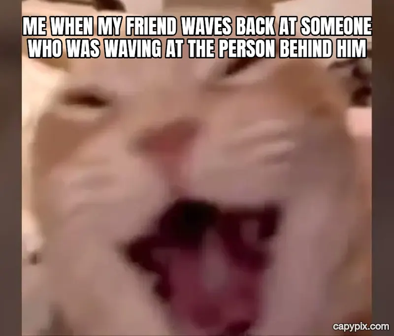 Laughing Cat meme example: Me when my friend waves back at someone who was waving at the person behind him