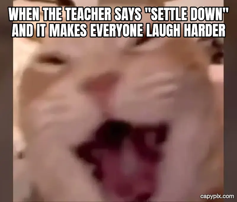 Laughing Cat meme example: When the teacher says "settle down" and it makes everyone laugh harder