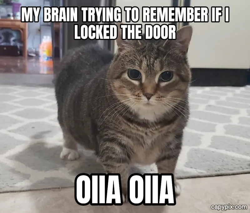 OIIA Cat meme example: My brain trying to remember if I locked the door / OIIA OIIA