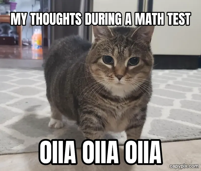 OIIA Cat meme example: My thoughts during a math test / OIIA OIIA OIIA