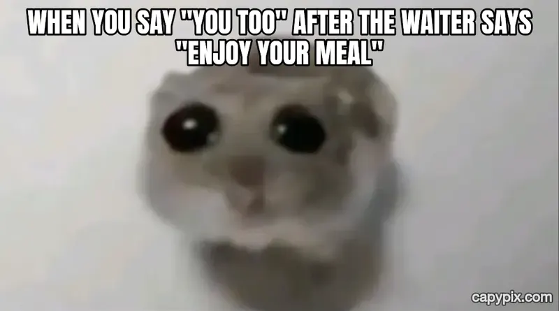Sad Hamster meme example: When you say "you too" after the waiter says "enjoy your meal"