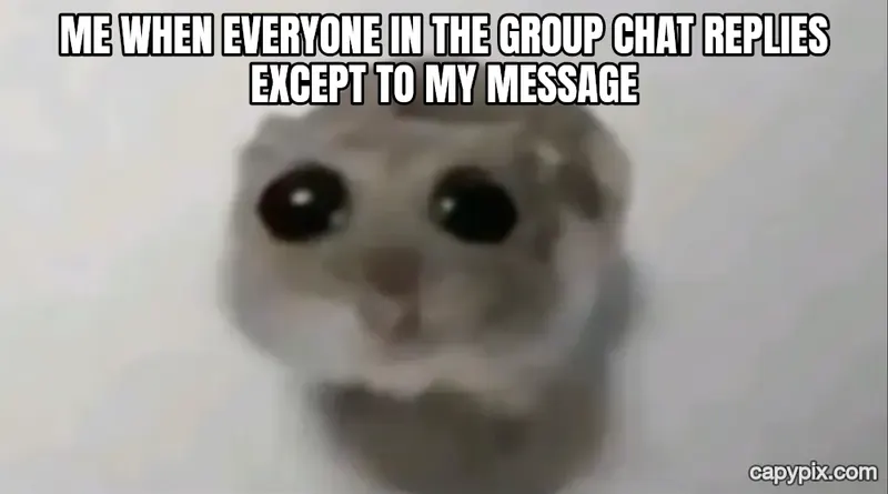 Sad Hamster meme example: Me when everyone in the group chat replies except to my message