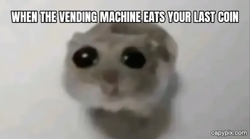 Sad Hamster meme example: When the vending machine eats your last coin