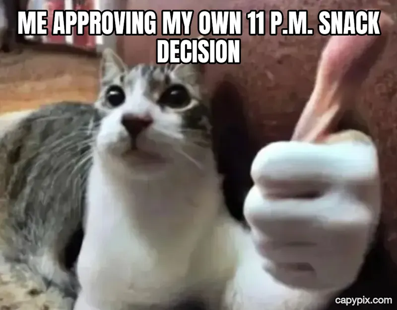 Thumbs Up Cat meme example: Me approving my own 11 p.m. snack decision