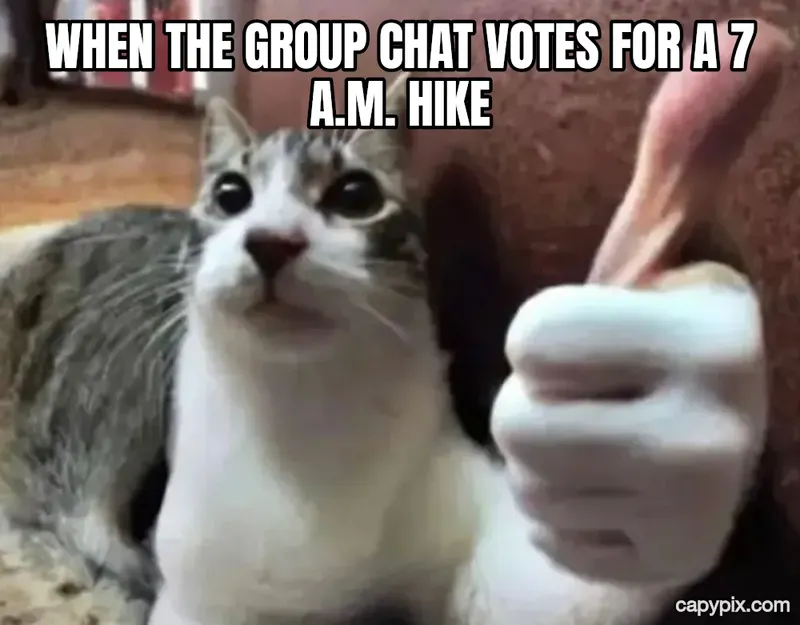 Thumbs Up Cat meme example: When the group chat votes for a 7 a.m. hike
