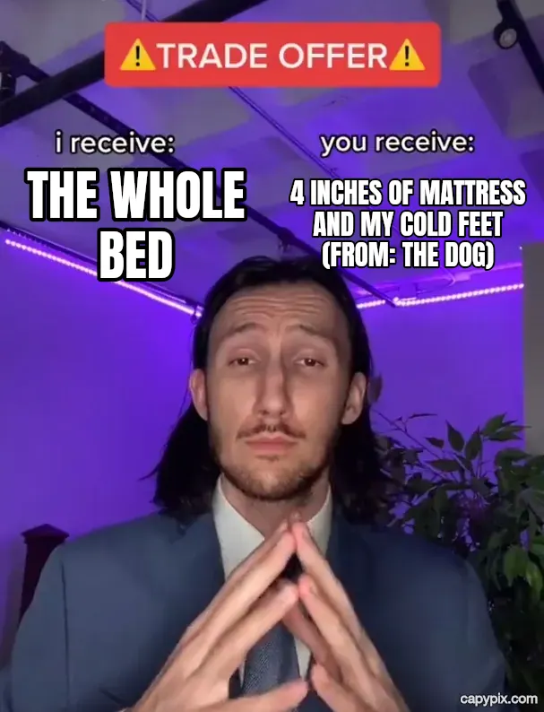 Trade Offer meme example: the whole bed / 4 inches of mattress and my cold feet (from: the dog)