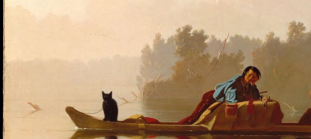 Cat Staring From the Boat