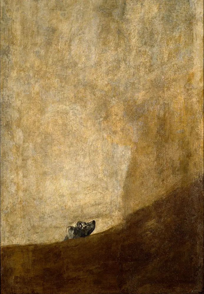Goya's Lonely Dog