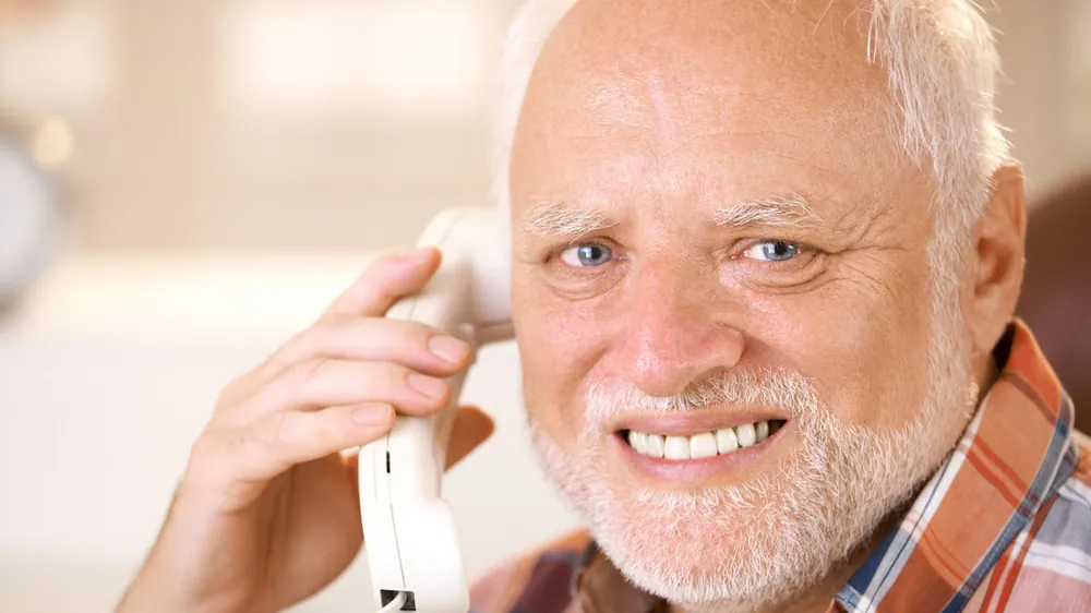 Hide the Pain Harold