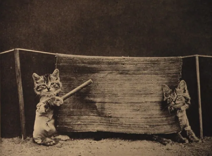 Kittens Beating the Rug
