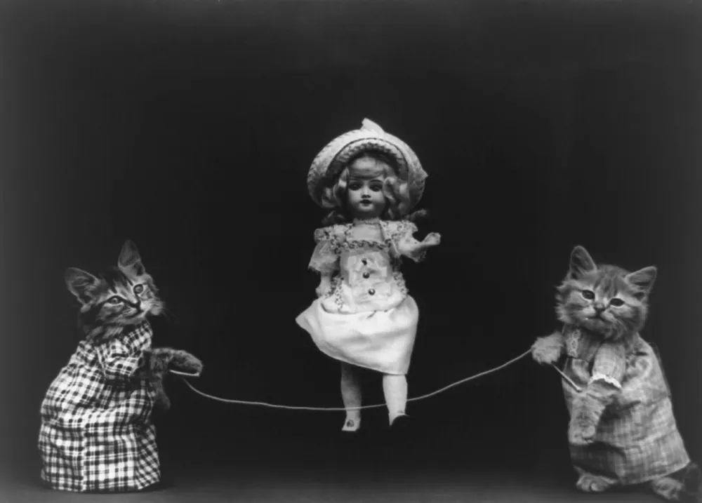 Kittens Playing Jump Rope
