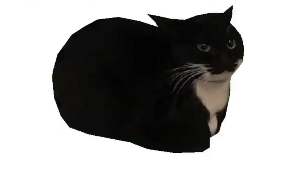 Maxwell the Cat