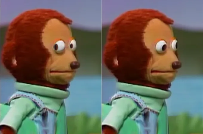 Awkward Monkey Puppet