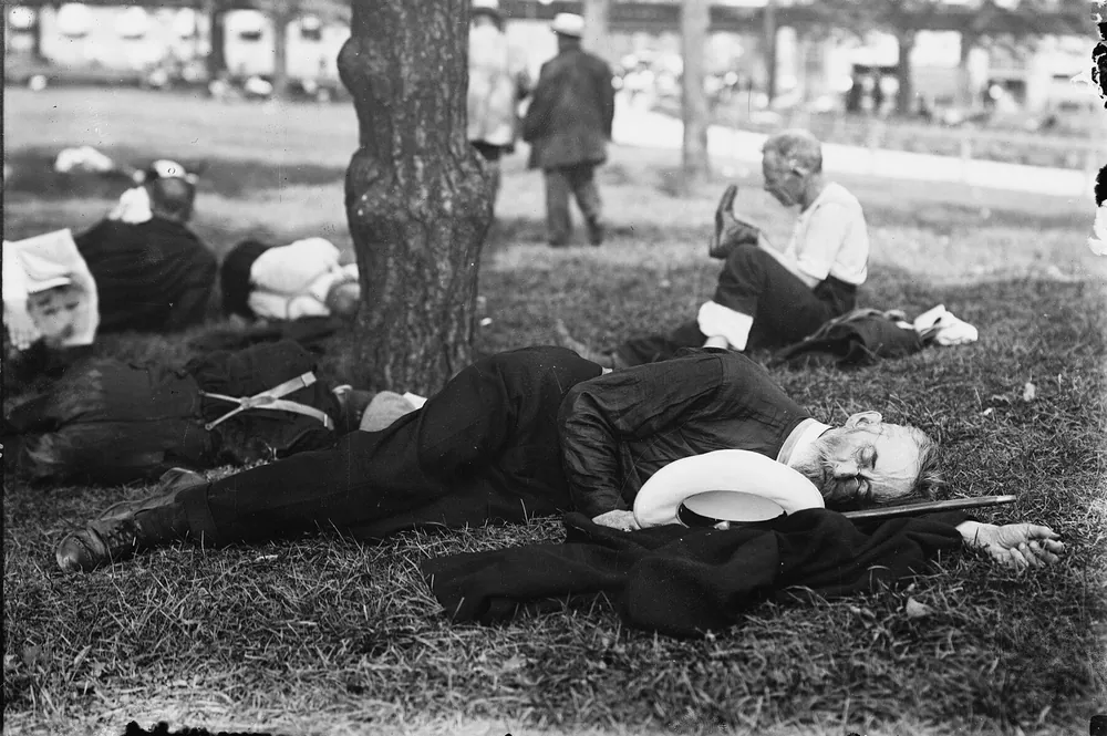 Lunch Break Nap