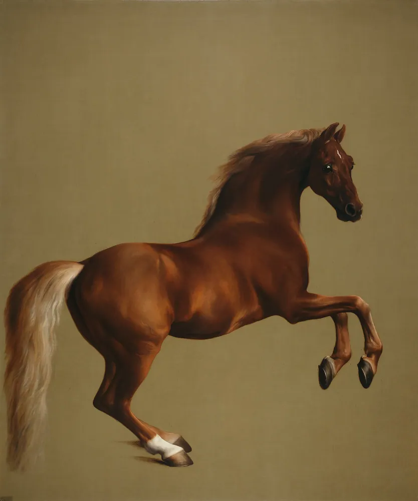 Dramatic Rearing Horse