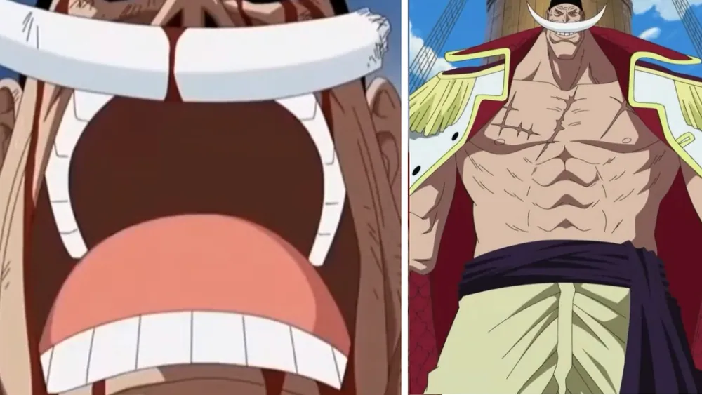 The One Piece Is Real