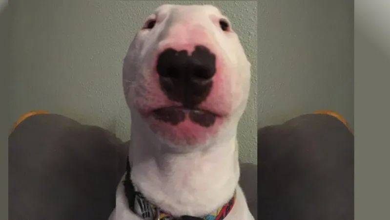 Walter