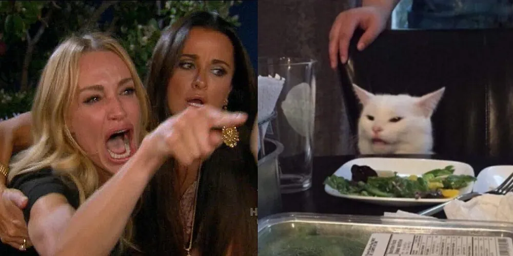 Woman Yelling at a Cat