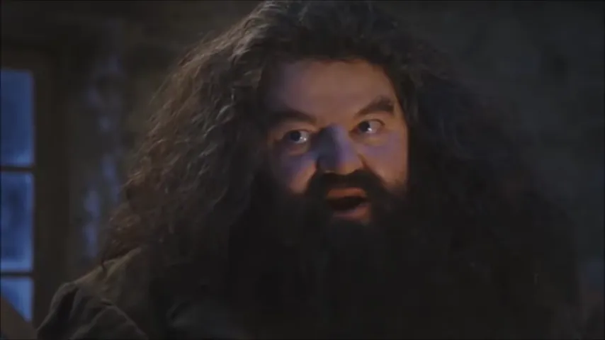 You're a Wizard, Harry